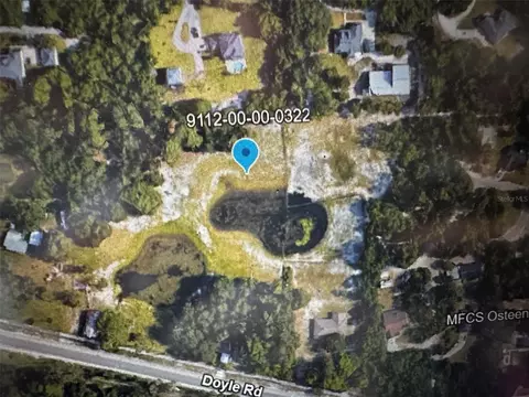 Doyle Road, Osteen, FL 32764