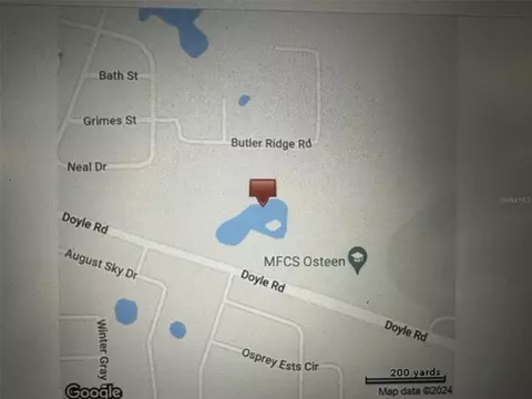 Doyle Road, Osteen, FL 32764 photo 4
