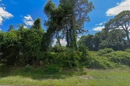 Nellie Lane, North Port, FL 34286