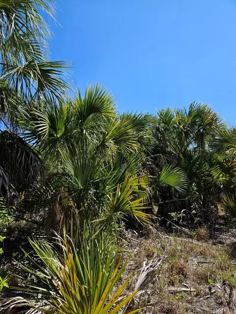 Bennington Street, North Port, FL 34288