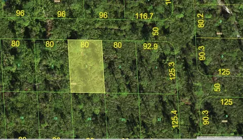 4805 Jacaranda Dr, Punta Gorda, FL 33982