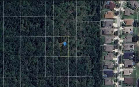 Unnasigned, Wesley Chapel, FL 33544