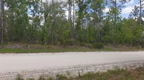 Tbd NE 15 Street, Williston, FL 32696