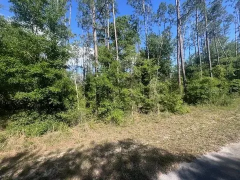 Tbd Freshwater Court, Dunnellon, FL 34431