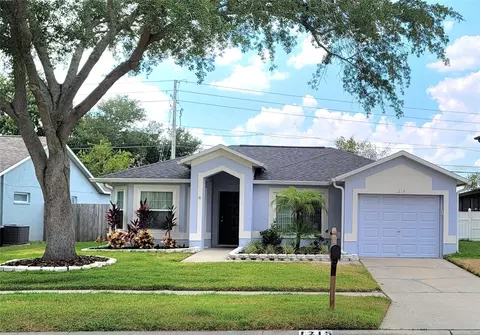 1215 Etchfield Cir, Brandon, FL 33511