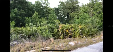 Malauka Radial Ter, Silver Springs, FL 34488