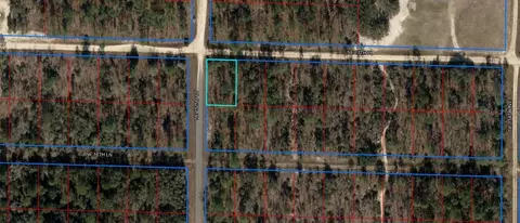 Ne 152nd Court, Williston, FL 32696