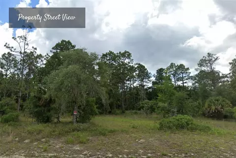 0 SE 125th Ct, Dunnellon, FL 34431