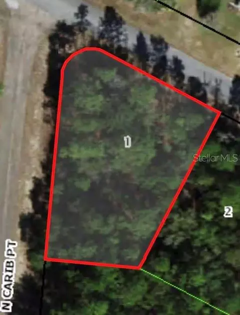 498 W Wason St, Citrus Springs, FL 34434