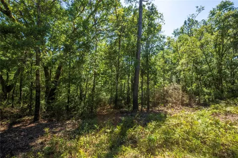 375 NE West Peppermint Trl, Pinetta, FL 32350