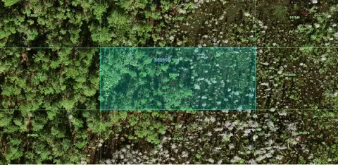 26-26 19-000000-014010 Inaccessible Trak, Polk City, FL 33868