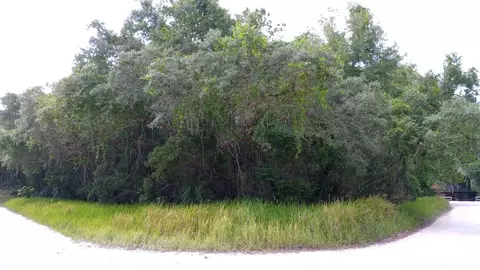 SE 10th Street, Silver Springs, FL 34488