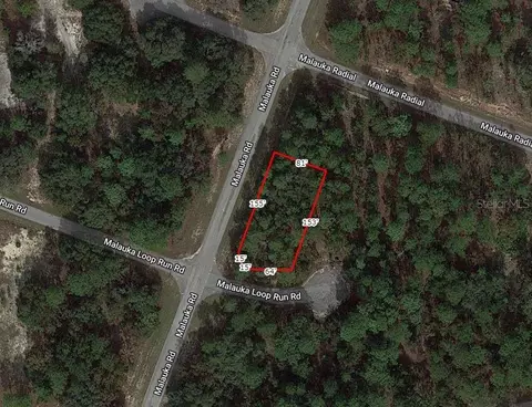Maluka Loop Run Road, Ocklawaha, FL 32179