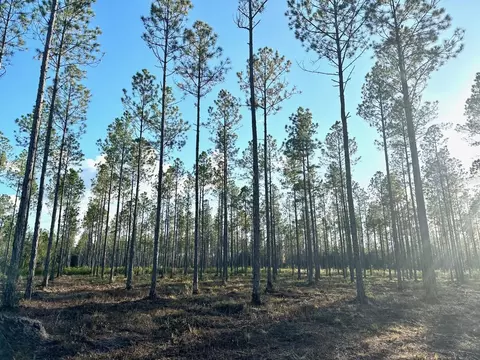 tbd NW Cr239, Lake Butler, FL 32054