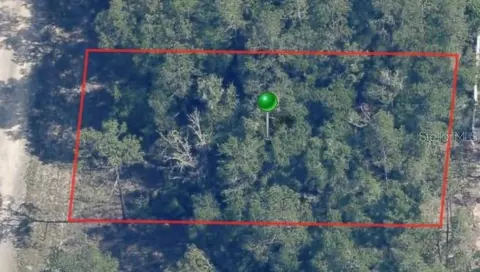 9861 N Baldwin Ter, Dunnellon, FL 34434