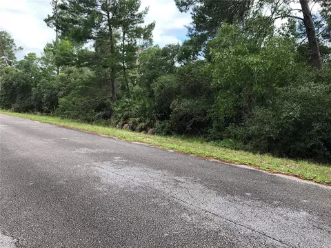 Tbd Forestdel Drive, Eustis, FL 32736