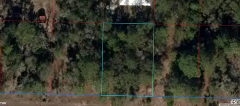 NE 13 Place, Williston, FL 32696