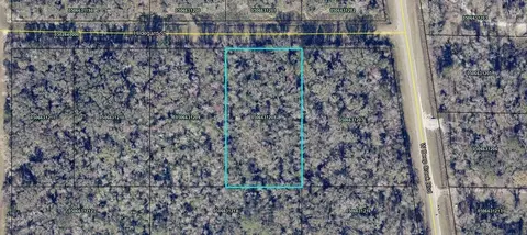 4815 Hildegard St, Hastings, FL 32145
