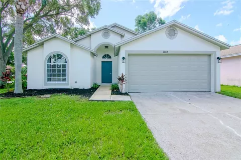 1602 Portsmouth Lake Dr, Brandon, FL 33511
