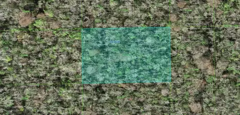 28-27 07-0000000-13110 Inaccessble Trak, Davenport, FL 33837