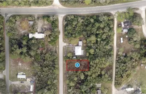tbd Palmetto St, Paisley, FL 32767