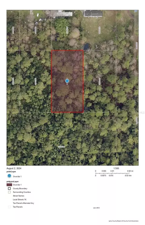 Woodland Avenue, Paisley, FL 32767