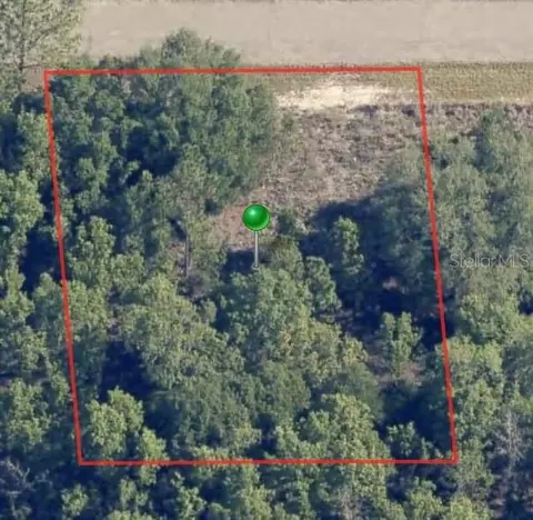 6654 N Underwood Dr, Citrus Springs, FL 34434