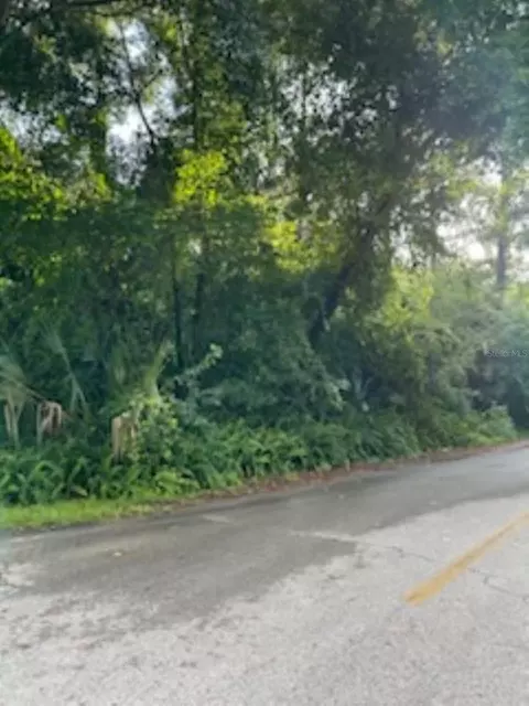 SE 163 Court, Ocklawaha, FL 32179