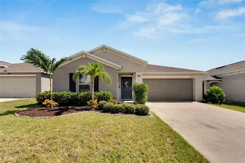 10506 Strawberry Tetra Dr, Riverview, FL 33578
