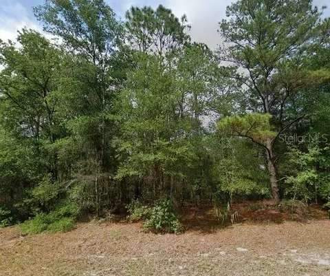 10969 N Adler Dr, Citrus Springs, FL 34434