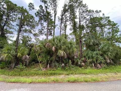 Needle Terrace, North Port, FL 34286