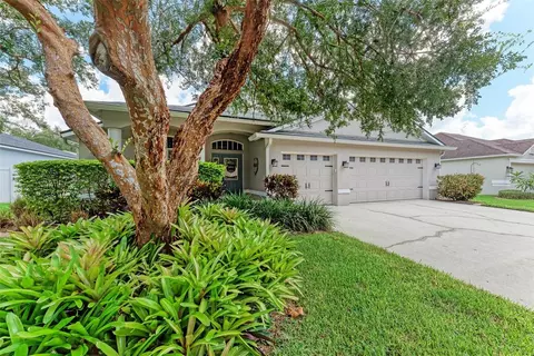 2735 Valencia Grove Dr, Valrico, FL 33596