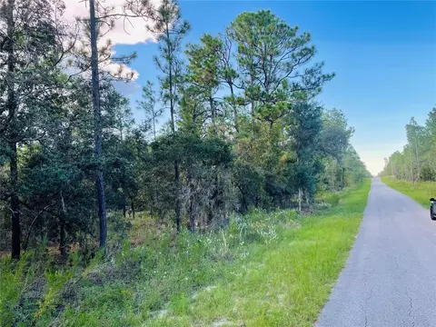 SE 129 Court, Dunnellon, FL 34431