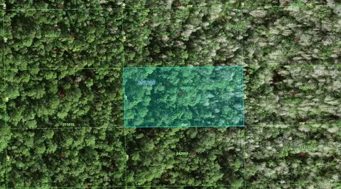 25-26 02-0000000-42010 Deen Still Rd, Polk City, FL 33868