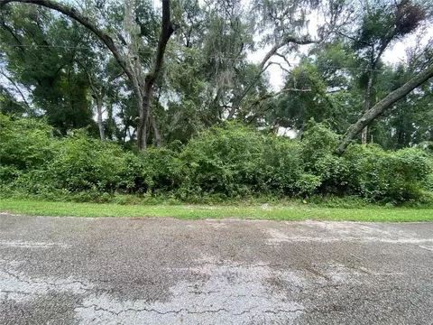 6480 Juniper Ave, Webster, FL 33597