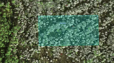 25-26 02-000000-032170 Deen Still Rd, Polk City, FL 33868