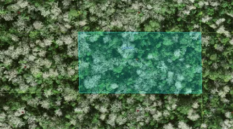 25-26 03-000000-013100 Deen Still Rd, Polk City, FL 33868