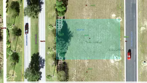 151 Blazing Star Ave, Lake Alfred, FL 33850