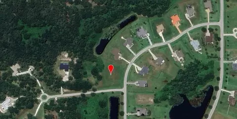 Morgan Hammock Court, Parrish, FL 34219