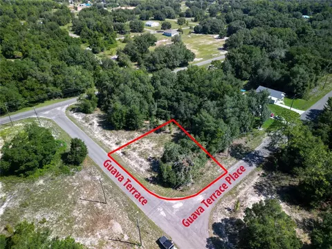 9042-1642 11 Guava Ter, Ocklawaha, FL 32179