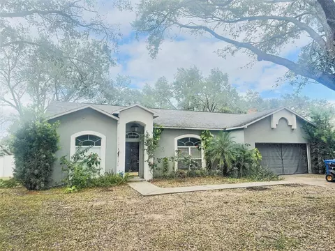2502 Buckhorn Trace Ct, Valrico, FL 33594