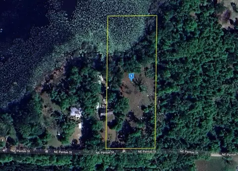 198 NE Pentas St, Madison, FL 32340
