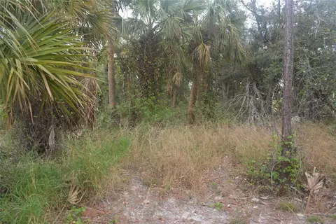 Maddock Circle, North Port, FL 34286 photo 20