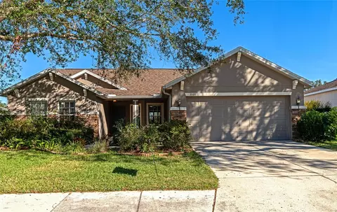 3920 Douglas Hill Pl, Parrish, FL 34219