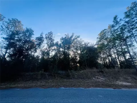 tbd SW 66th Loop, Dunnellon, FL 34432