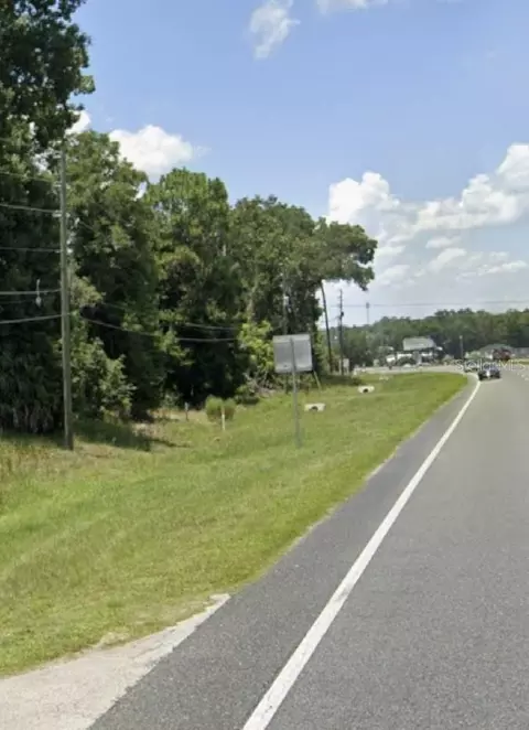 Us Hwy 301, Belleview, FL 34420 photo 2