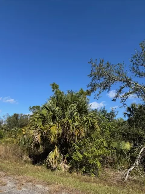 Button Street, North Port, FL 34288