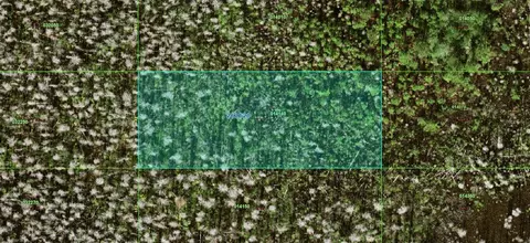26-26 20-000000-014140 Sweet Hill Rd, Polk City, FL 33868