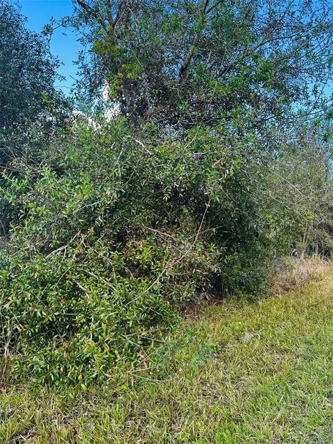 14460 Rowan Ave, Port Charlotte, FL 33953