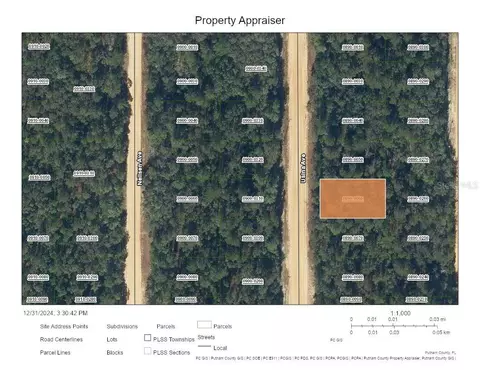 Usina Avenue, Interlachen, FL 32148